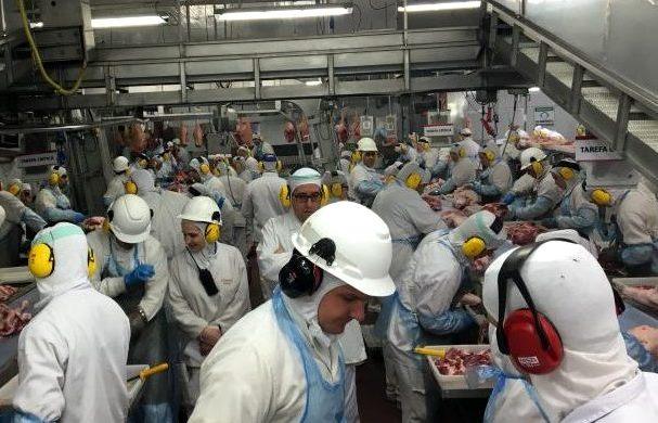 Frigoríficos registram média de 54 acidentes por dia