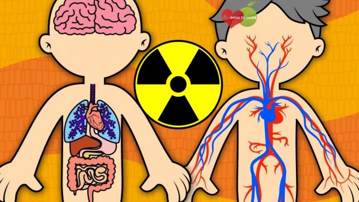 Contaminação e Intoxicação: As consequências dos Metais Pesados 