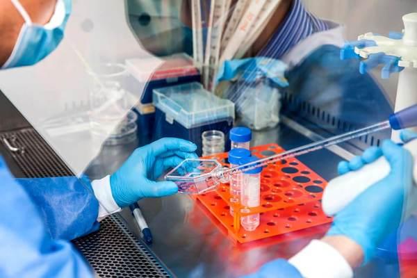 Biossegurança: Atenção para Normas e Medidas de Proteção