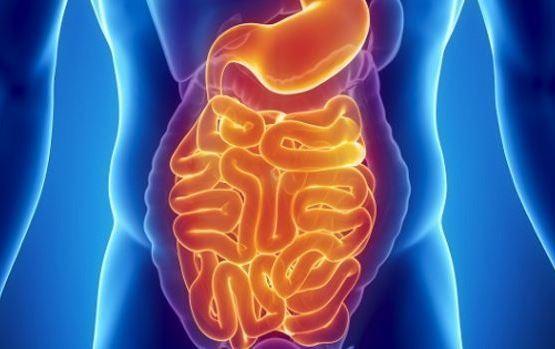 Demissão de trabalhador com doença de Crohn é considerada abusiva