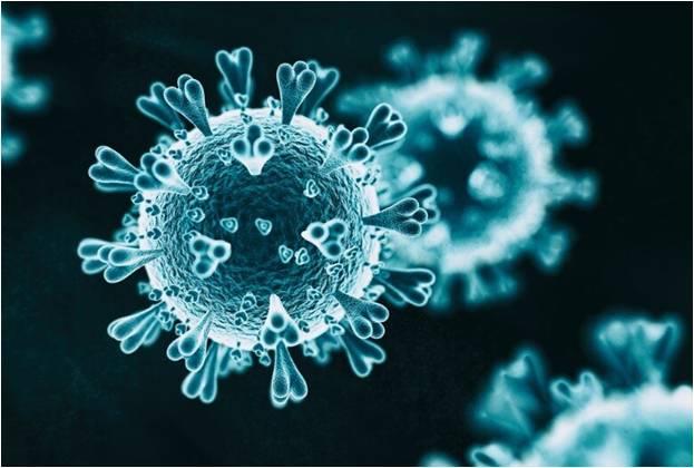 Coronavírus: Mutações do Sars-Cov-2 Intrigam Cientistas